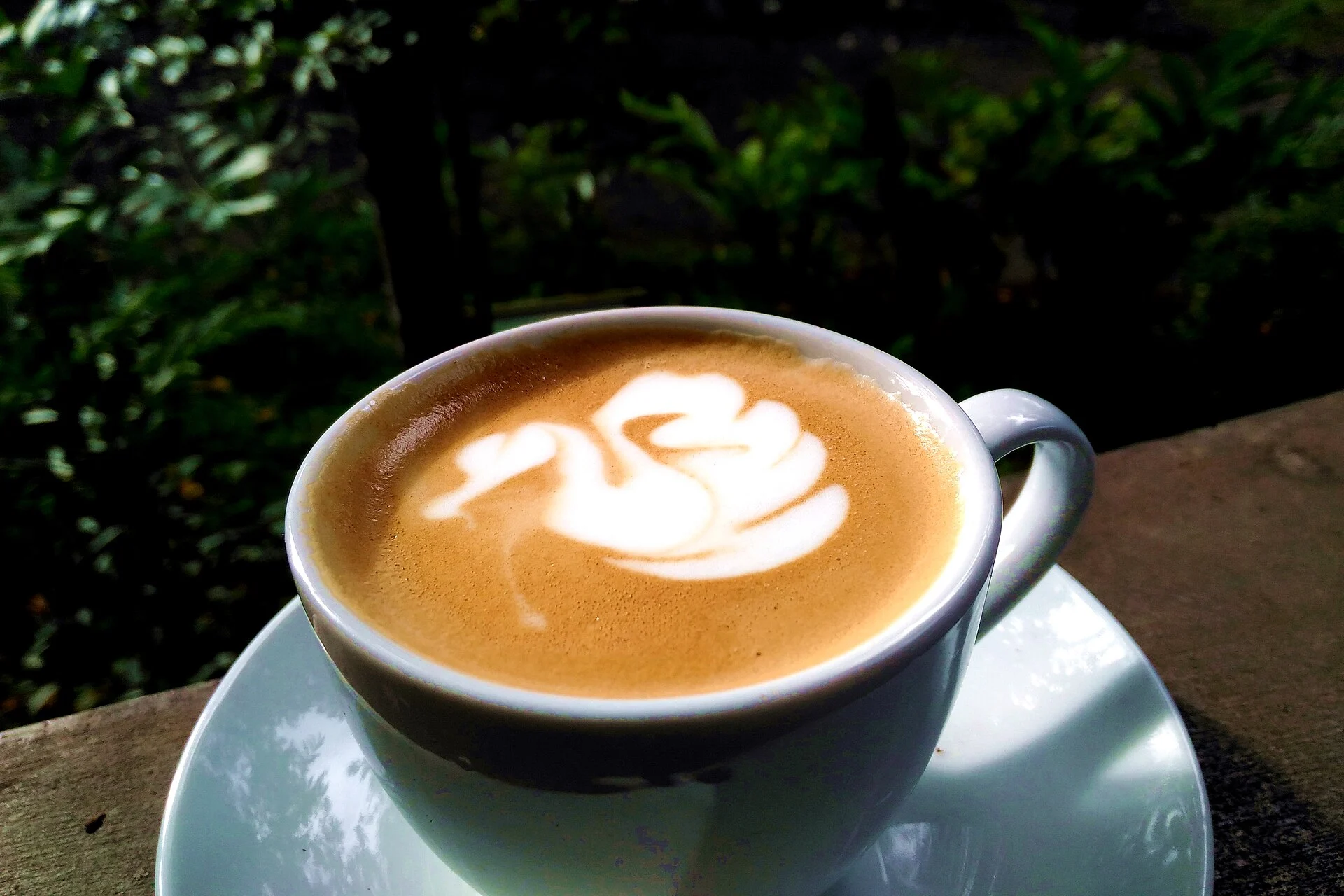 Cup of coffee with latte art