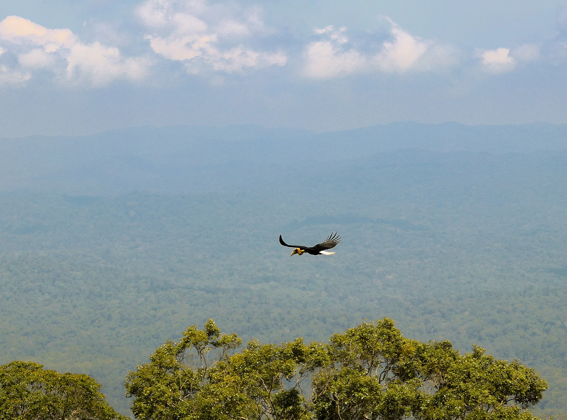 Romantic Weekend Escapes in Khao Yai