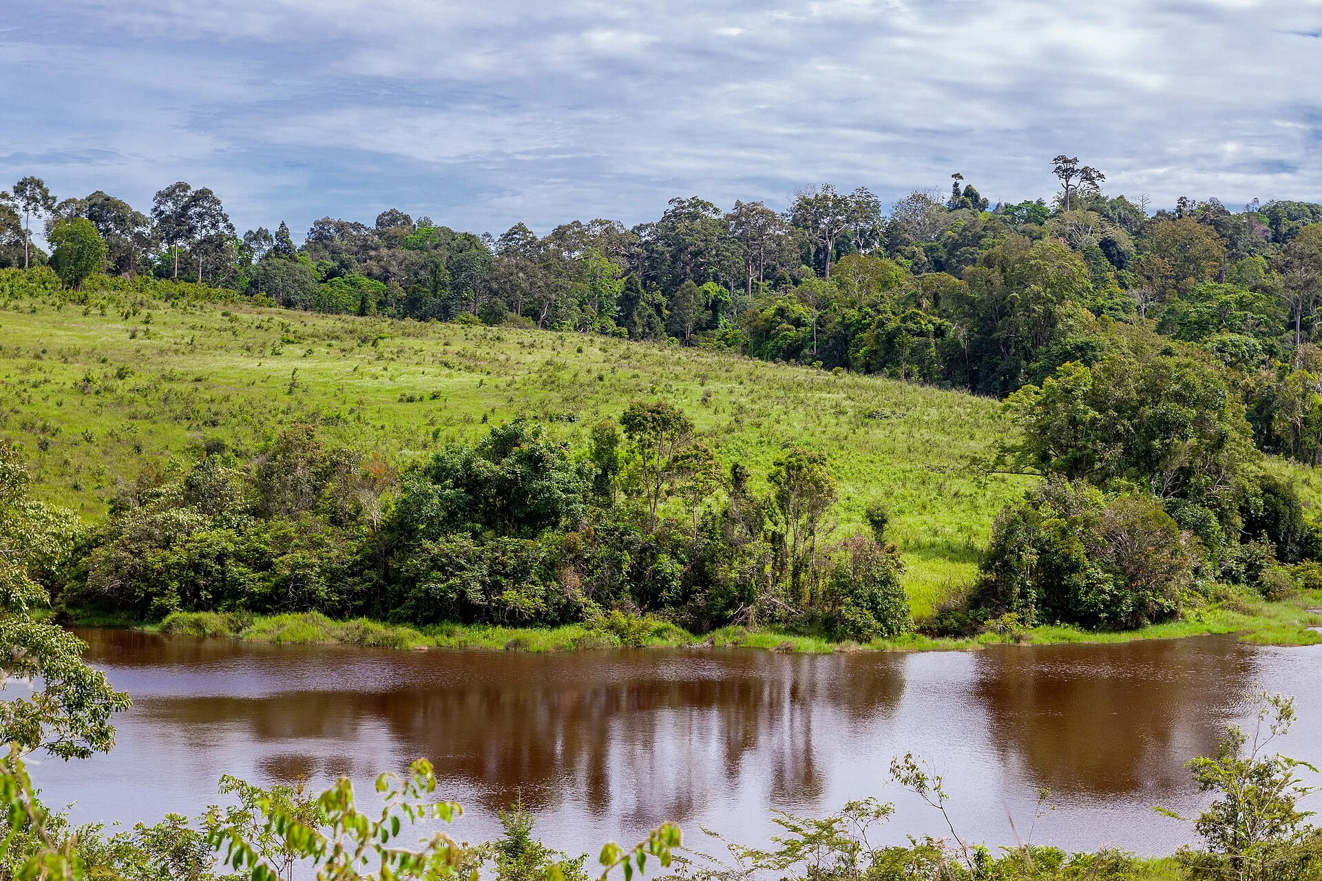 Nong Phak Chi grassland and wildlife observation area in Khao Yai